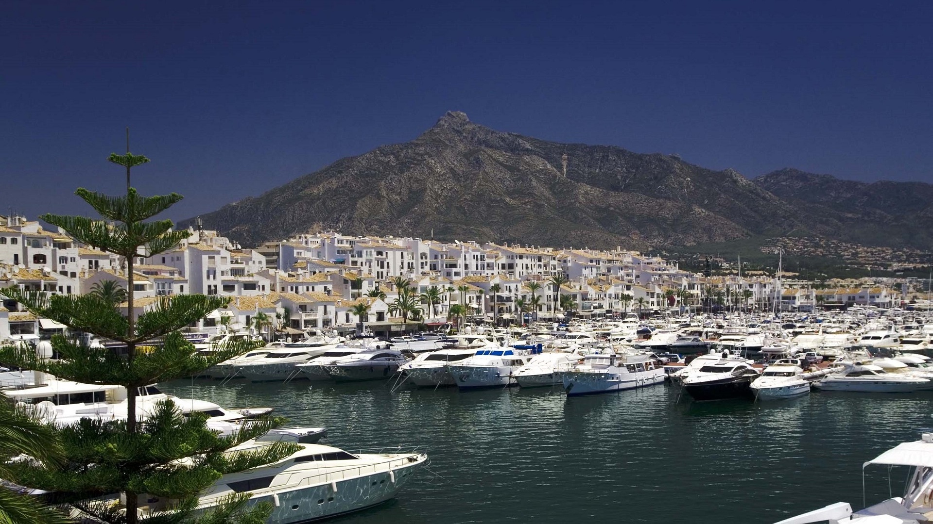 Buy a restaurant located in the famous puerto banus marbella